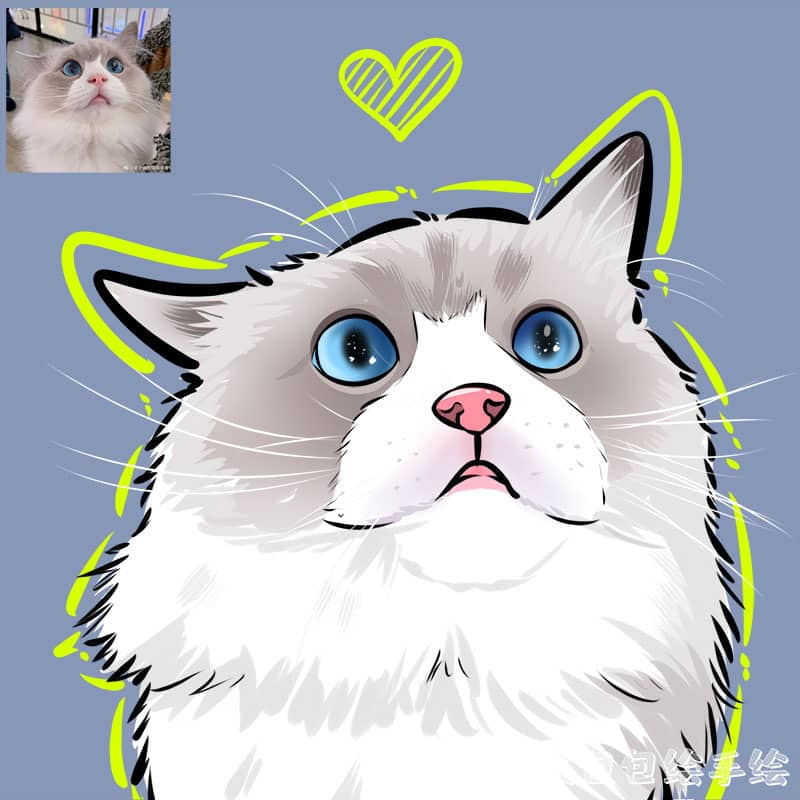 杯子犬宠物狗科普：揭秘这些可爱小家伙的日常