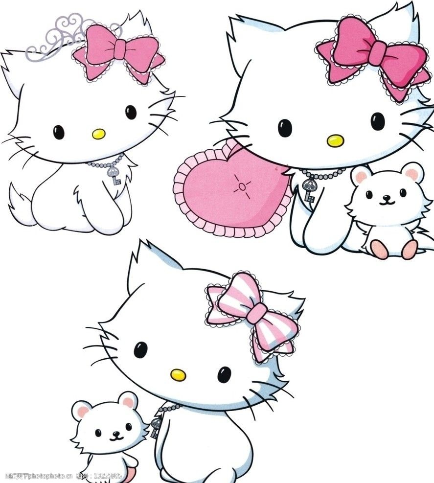 宠物狗购买质保：您的宠物健康保障，您值得拥有