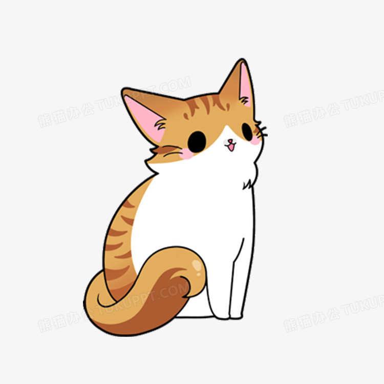 宠物狗洗澡西宁有吗？带你解锁高原萌宠的清洁秘籍！