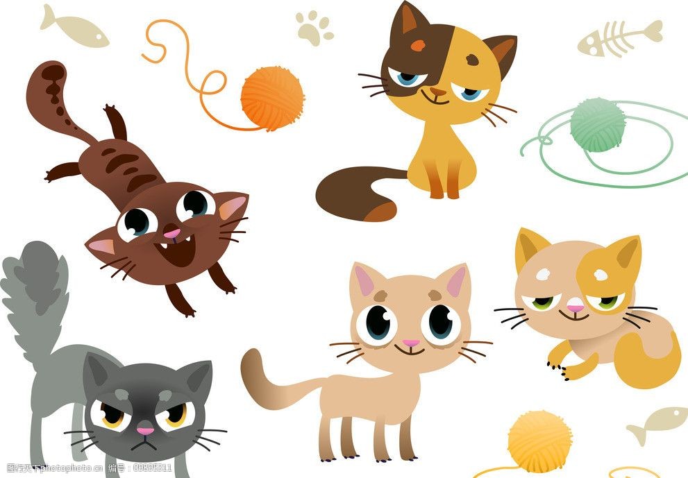 宠物狗同食小说：温馨趣事中的宠物知识分享